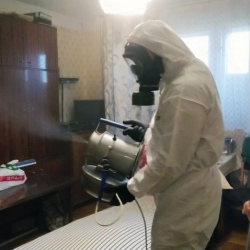 Дезинфекция от клопов в Львовском