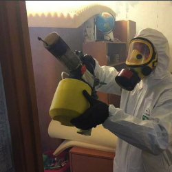 Уничтожение клопов в квартире. Львовский